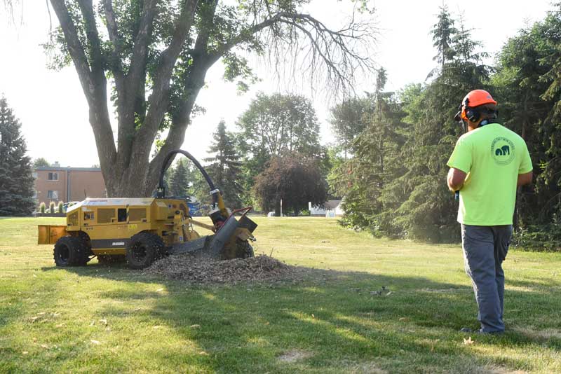 breiwick companies twin cities stump grinding service