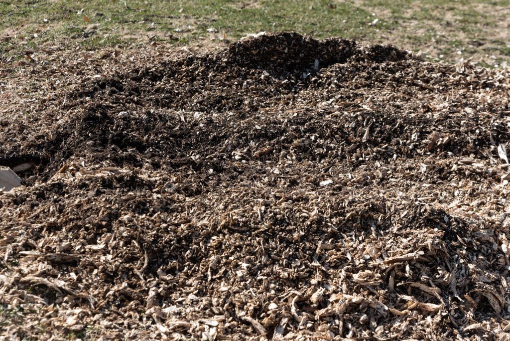 Breiwick Companies Stump Removal