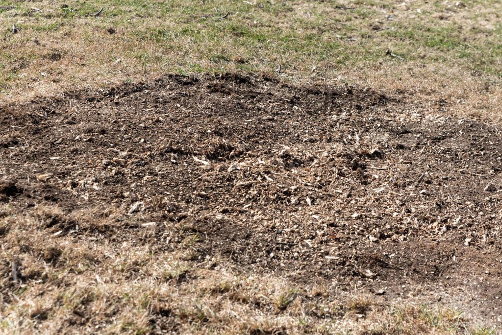 Breiwick Companies Twin Cities Stump Removal