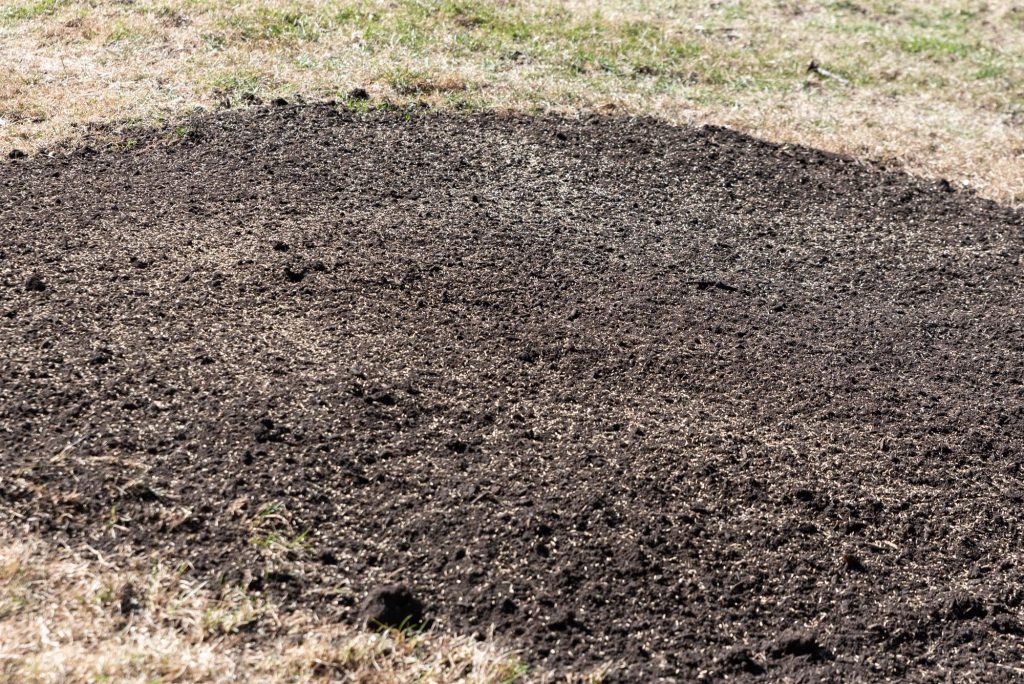 Breiwick Companies Twin Cities Stump Removal
